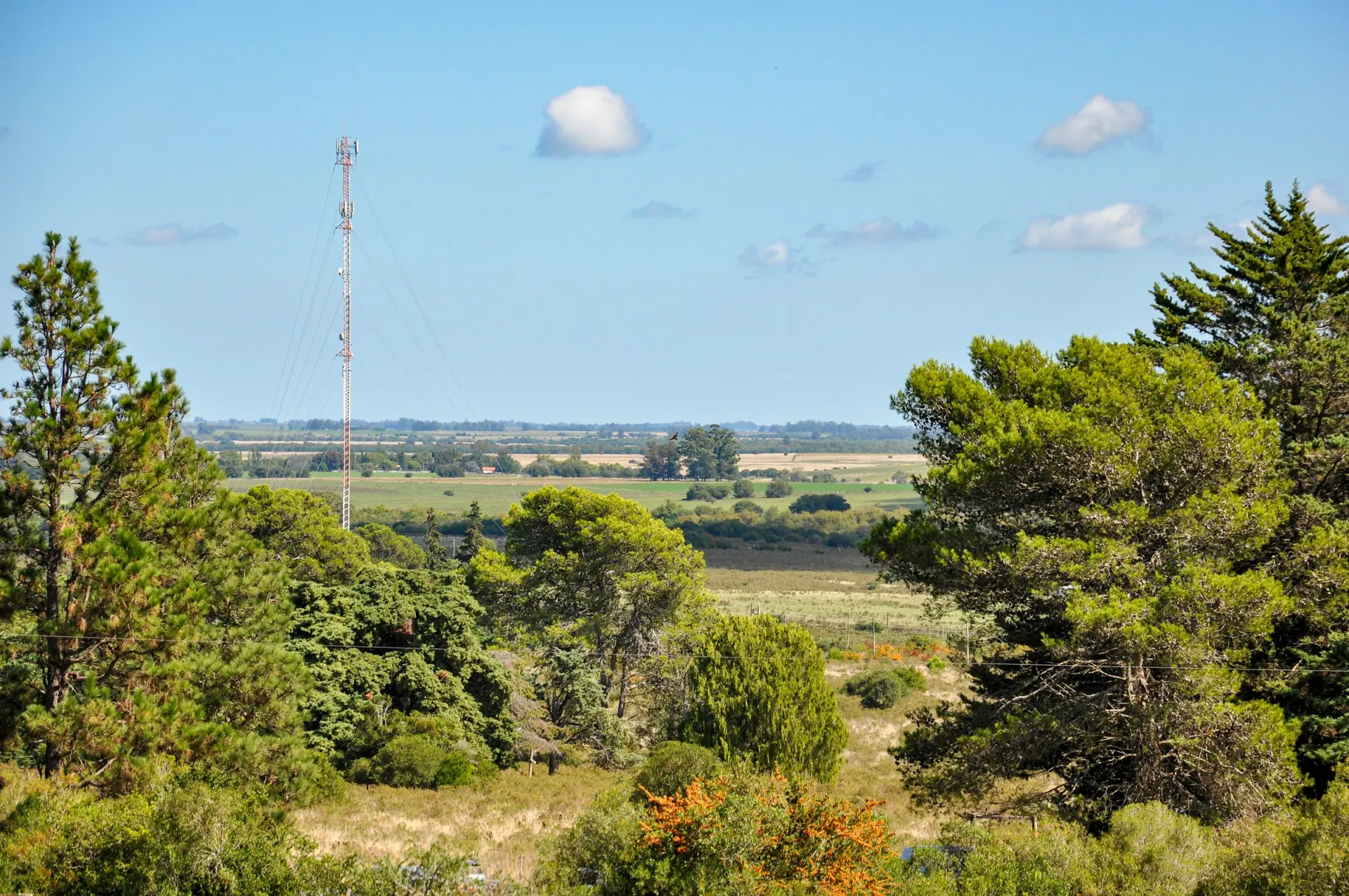A wireless communications tower on a rural landscape at dusk